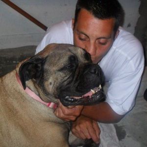 Meet your Posher, Steven